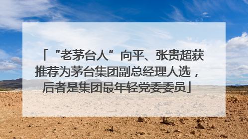 “老茅台人”向平、张贵超获推荐为茅台集团副总经理人选，后者是集团最年轻党委委员