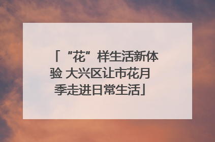 “花”样生活新体验 大兴区让市花月季走进日常生活