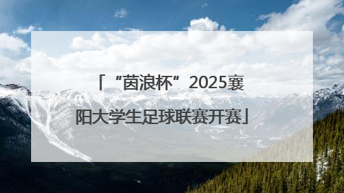“茵浪杯”2025襄阳大学生足球联赛开赛