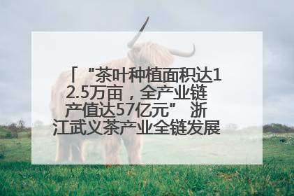 “茶叶种植面积达12.5万亩，全产业链产值达57亿元” 浙江武义茶产业全链发展“加速度”