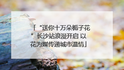 “送你十万朵栀子花”长沙站浪漫开启 以花为媒传递城市温情
