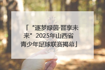 “逐梦绿茵·晋享未来”2025年山西省青少年足球联赛揭幕