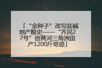 “金种子”改写盐碱地产粮史——“齐民27号”创黄河三角洲亩产1200斤奇迹