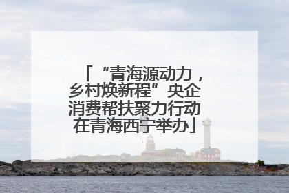 “青海源动力，乡村焕新程”央企消费帮扶聚力行动在青海西宁举办