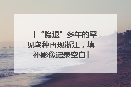 “隐退”多年的罕见鸟种再现浙江，填补影像记录空白