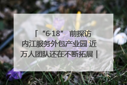 “6·18” 前探访内江服务外包产业园 近万人团队还在不断拓展｜内江东兴“红”在哪⑤