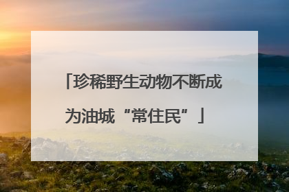 珍稀野生动物不断成为油城“常住民”