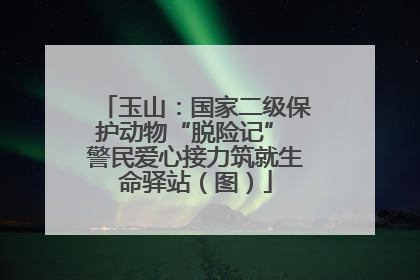 玉山：国家二级保护动物“脱险记” 警民爱心接力筑就生命驿站（图）