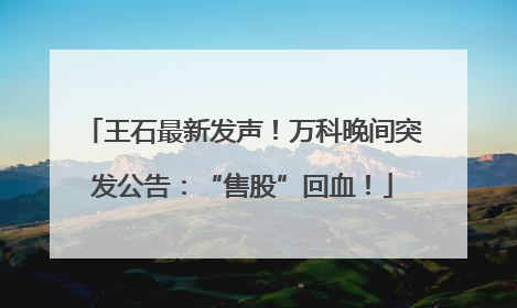 王石最新发声！万科晚间突发公告：“售股”回血！