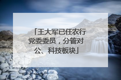 王大军已任农行党委委员，分管对公、科技板块