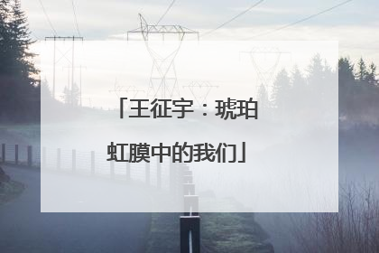 王征宇：琥珀虹膜中的我们