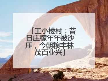 王小楼村：昔日庄稼年年被沙压，今朝粮丰林茂百业兴