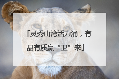 灵秀山湾活力涌，有品有质赢“卫”来