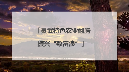 灵武特色农业翻腾振兴“致富浪”