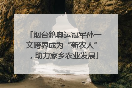 烟台籍奥运冠军孙一文跨界成为“新农人”，助力家乡农业发展