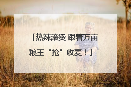 热辣滚烫 跟着万亩粮王“抢”收麦！