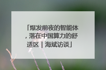 爆发前夜的智能体，落在中国算力的舒适区｜海斌访谈