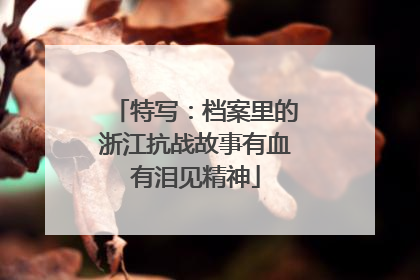 特写：档案里的浙江抗战故事有血有泪见精神