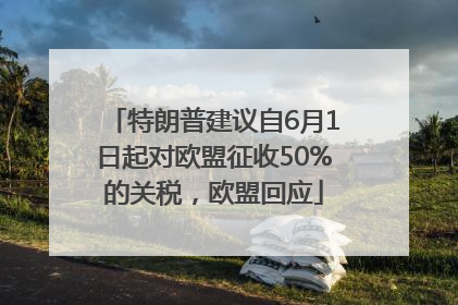 特朗普建议自6月1日起对欧盟征收50%的关税，欧盟回应