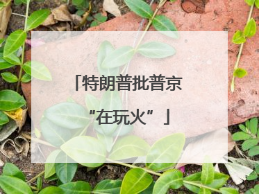 特朗普批普京“在玩火”