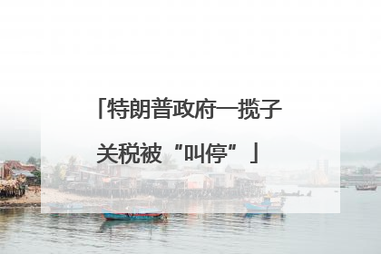 特朗普政府一揽子关税被“叫停”