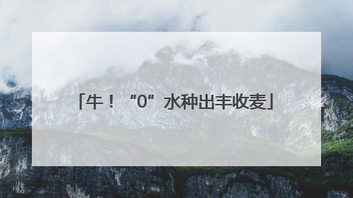 牛！“0”水种出丰收麦