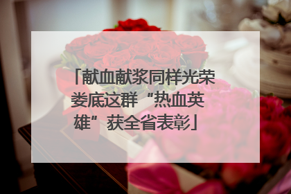 献血献浆同样光荣 娄底这群“热血英雄”获全省表彰