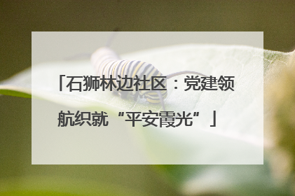 石狮林边社区：党建领航织就“平安霞光”