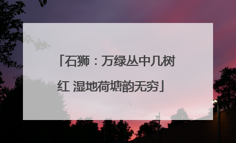 石狮：万绿丛中几树红 湿地荷塘韵无穷