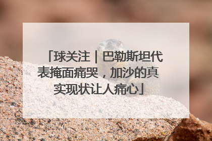 球关注｜巴勒斯坦代表掩面痛哭，加沙的真实现状让人痛心