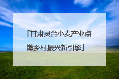 甘肃灵台小麦产业点燃乡村振兴新引擎
