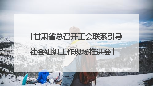 甘肃省总召开工会联系引导社会组织工作现场推进会
