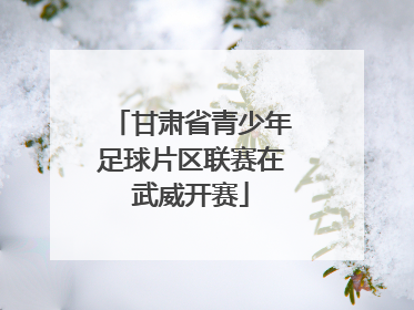 甘肃省青少年足球片区联赛在武威开赛
