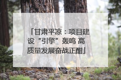 甘肃平凉：项目建设“引擎”轰鸣 高质量发展奋战正酣