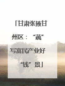 甘肃张掖甘州区：“蔬”写富民产业好“钱”景