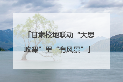 甘肃校地联动“大思政课”里“有风景”