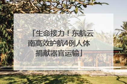 生命接力！东航云南高效护航4例人体捐献器官运输