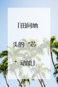 田间地头的“芯”动能