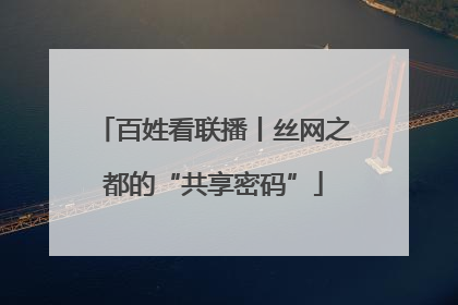 百姓看联播丨丝网之都的“共享密码”