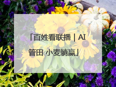 百姓看联播｜AI管田 小麦躺赢