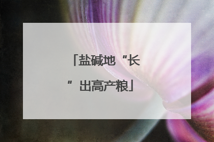 盐碱地“长”出高产粮
