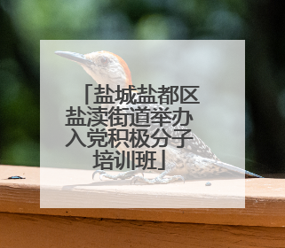 盐城盐都区盐渎街道举办入党积极分子培训班