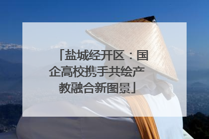 盐城经开区：国企高校携手共绘产教融合新图景