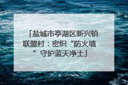 盐城市亭湖区新兴镇联盟村：密织“防火墙”守护蓝天净土