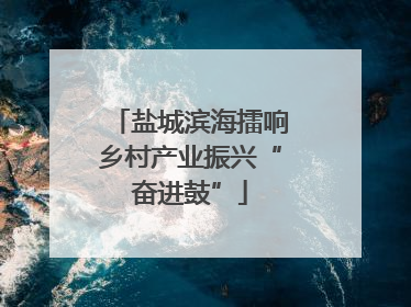 盐城滨海擂响乡村产业振兴“奋进鼓”