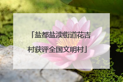 盐都盐渎街道花吉村获评全国文明村