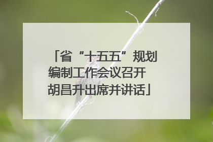 省“十五五”规划编制工作会议召开 胡昌升出席并讲话