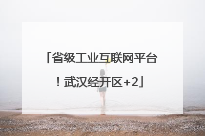 省级工业互联网平台！武汉经开区+2