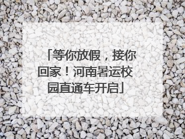 等你放假，接你回家！河南暑运校园直通车开启