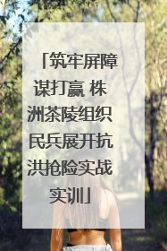 筑牢屏障谋打赢 株洲茶陵组织民兵展开抗洪抢险实战实训